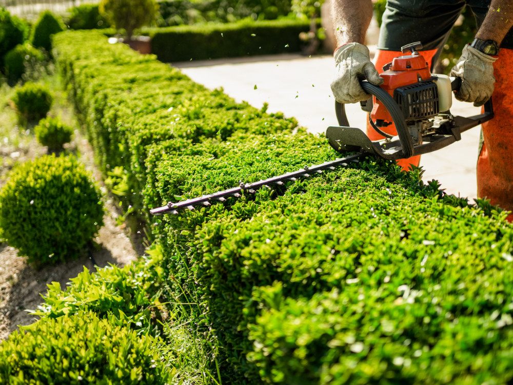 start_leistungen_gartenarbeiten